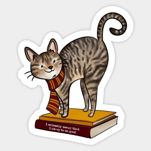 HP Red House Cat, Books and Quote Sticker